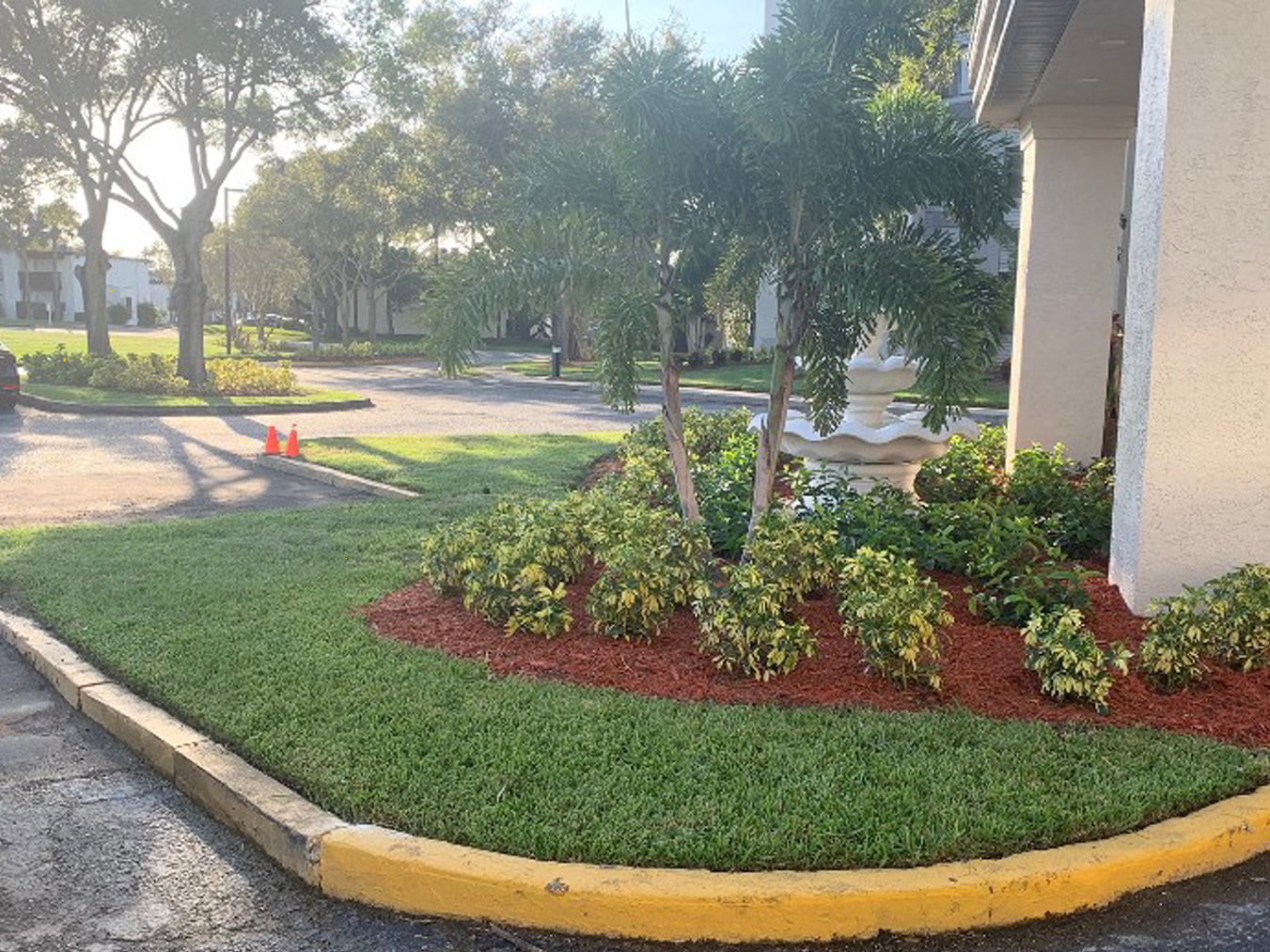 red mulch ground cover for landscape area